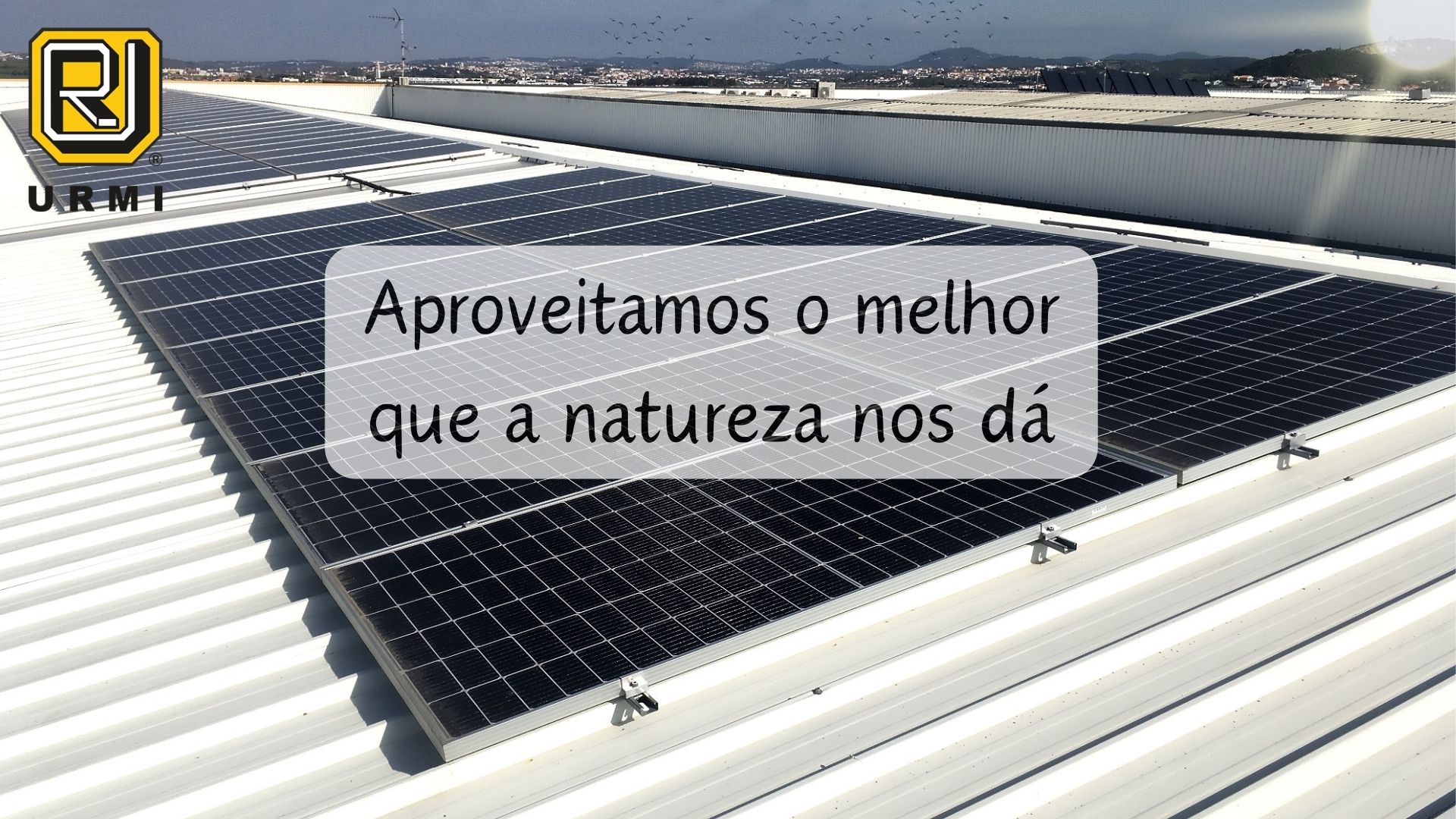 Read more about the article Amigos do ambiente